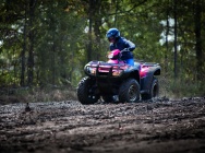 Мотоцикл Honda TRX 500 FPA 2012 фото