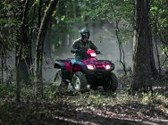 Мотоцикл Honda TRX 500 FPA 2012 фото