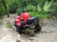 Мотоцикл Honda TRX 500 FPA 2012 фото