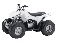 Мотоцикл Honda TRX 90 EX 2012 фото