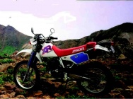 Мотоцикл Honda XR 250R 1991 фото