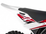 Мотоцикл Husqvarna TC 250 R 110TH ANNIVERSARY EDITION 2013 фото