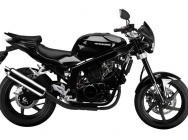 Мотоцикл Hyosung GT 250 FI 2010 фото