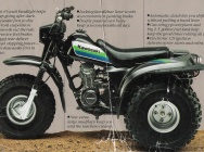 Мотоцикл Kawasaki KLT 110 1986 фото