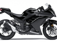 Мотоцикл Kawasaki Ninja 300 2014 фото