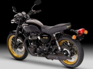 Мотоцикл Kawasaki W 800 Special Edition 2012 фото