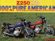 Мотоцикл Kawasaki Z 250LTD 1984 фото