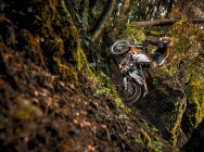 Мотоцикл KTM FREERIDE 250 R 2014 фото