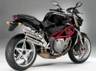 Мотоцикл MV Agusta Brutale 750 Gladio 2005 фото