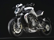 Мотоцикл MV Agusta Brutale 800 Dragster 2008 фото