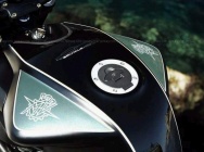 Мотоцикл MV Agusta Brutale 910S Wallyw 2008 фото