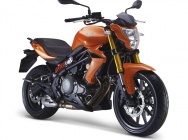 Мотоцикл Stels 300 Benelli 2014 фото