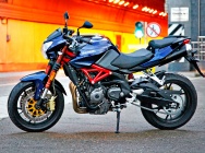 Мотоцикл Stels 600 Benelli 2013 фото