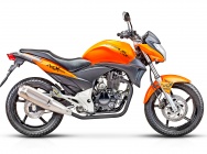Мотоцикл Stels Flex 250 2013 фото