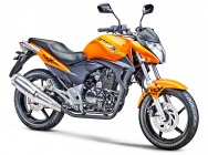 Мотоцикл Stels Flex 250 2013 фото