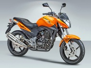 Мотоцикл Stels Flex 250 2013 фото