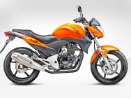 Мотоцикл Stels Flex 250 2013 фото
