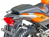 Мотоцикл Stels Flex 250 2013 фото