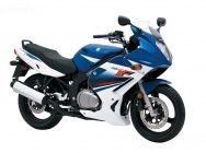 Мотоцикл Suzuki GS 500 F 2013 фото