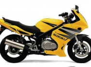 Мотоцикл Suzuki GS 500F 2004 фото