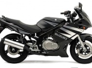 Мотоцикл Suzuki GS 500F 2004 фото