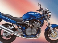 Мотоцикл Suzuki GSF 600N Bandit 2000 фото