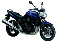Мотоцикл Suzuki GSF 650N Bandit 2009 фото