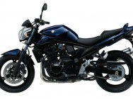 Мотоцикл Suzuki GSF 650N Bandit 2009 фото