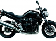 Мотоцикл Suzuki GSF 650N Bandit 2009 фото