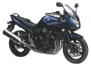 Мотоцикл Suzuki GSF 650S Bandit 2009 фото