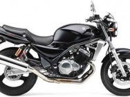 Мотоцикл Suzuki GSX 250FX 2003 фото