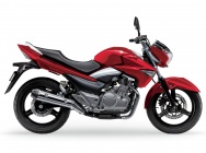 Мотоцикл Suzuki GW 250 Inazuma 2013 фото