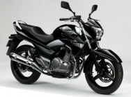Мотоцикл Suzuki GW 250 Inazuma 2013 фото