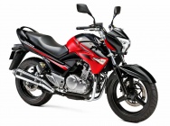 Мотоцикл Suzuki GW 250 Z Inazuma 2015 фото