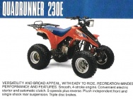 Мотоцикл Suzuki QUADRUNNER 230 E 1987 фото