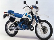 Мотоцикл Suzuki RH 250 1987 фото