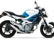 Мотоцикл Suzuki SFV 650 Gladius 2009 фото