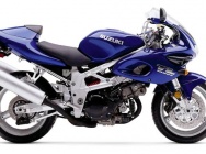Мотоцикл Suzuki TL 1000S  2001 фото