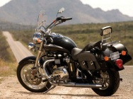 Мотоцикл Triumph America 2008 фото