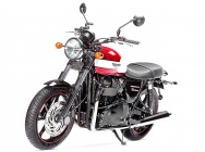Мотоцикл Triumph Bonneville Newchurch SE 2015 фото