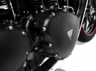 Мотоцикл Triumph Bonneville Newchurch SE 2015 фото