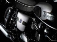 Мотоцикл Triumph Bonneville T100 110th AnniverS.E.ry  Edition 2012 фото