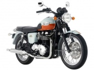 Мотоцикл Triumph Bonneville T100 50th Anniversary 2009 фото