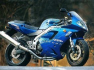 Мотоцикл Triumph Daytona 955i 2002 фото