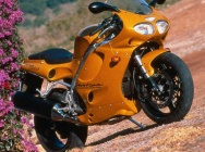 Мотоцикл Triumph Daytona T595 1998 фото