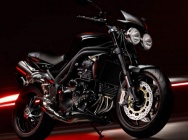 Мотоцикл Triumph Speed Triple 15th Anniversary Edition 2009 фото