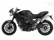 Мотоцикл Triumph Speed Triple Carbon Limited Edition 2009 фото