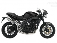 Мотоцикл Triumph Speed Triple Carbon Limited Edition 2009 фото