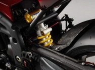 Мотоцикл Triumph Speed Triple S.E. 2010 фото