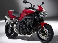 Мотоцикл Triumph Speed Triple S.E. 2010 фото